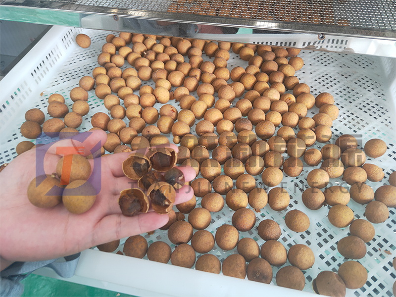 天杰新能源?；葜蔟堁酆娓蓹C(jī)開機(jī)大吉
